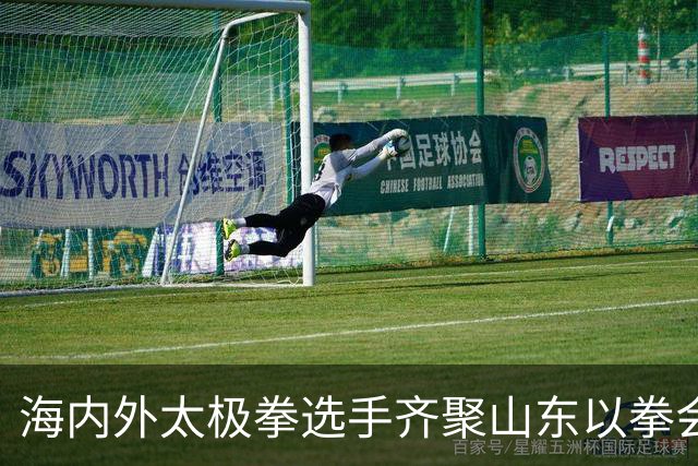 海内外太极拳选手齐聚山东以拳会友
