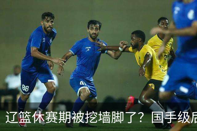 辽篮休赛期被挖墙脚了？国手级后卫恐被交易：变相逼着赵继伟走人